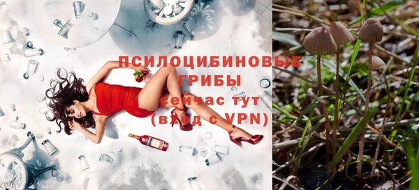 a pvp Алексин